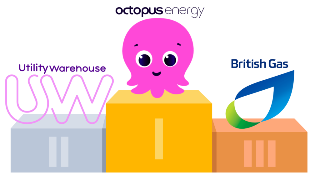 Best Energy Supplier 2024